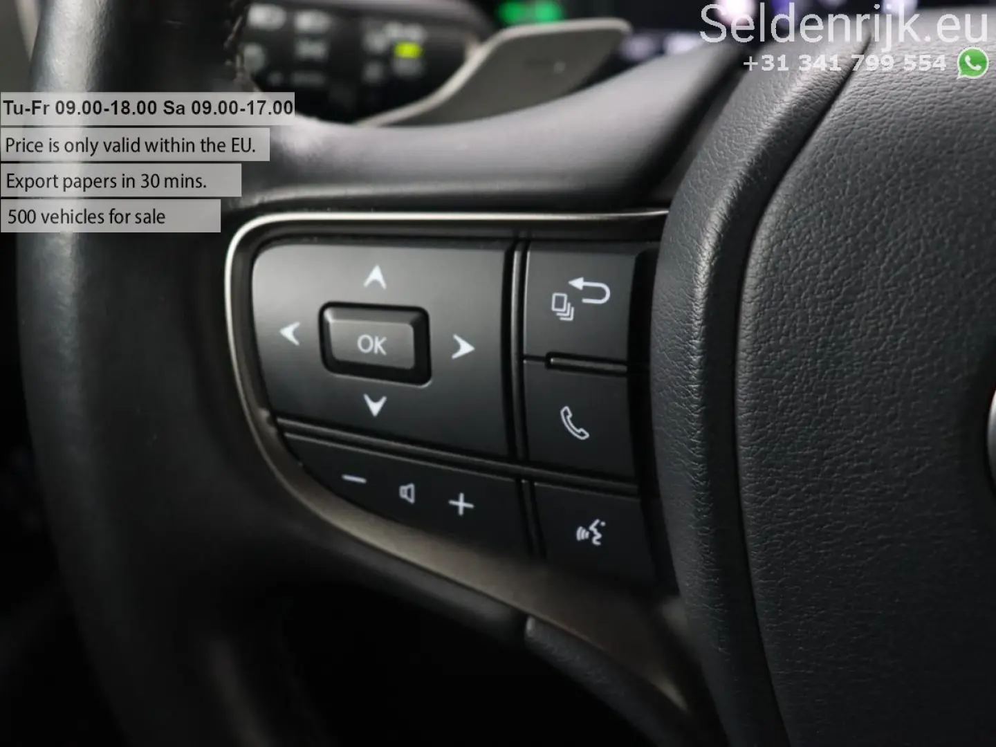 UX 300e Business 54 kWh   1e besitzer   Adaptive