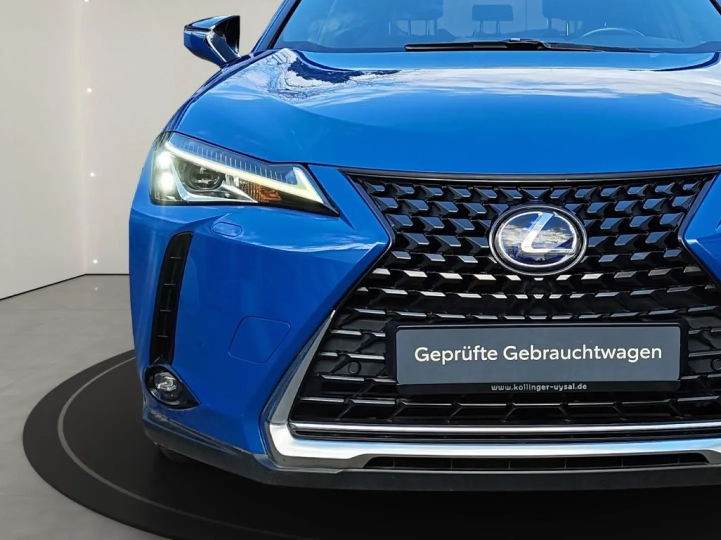 UX 250h Style Edition