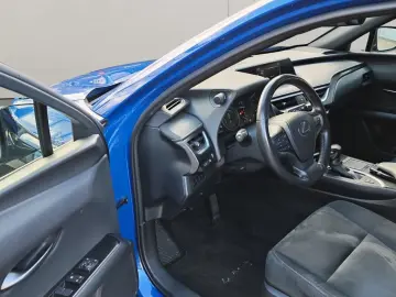 UX 250h Style Edition