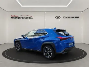 UX 250h Style Edition