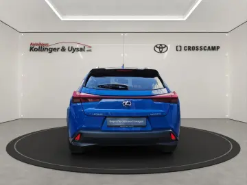 UX 250h Style Edition