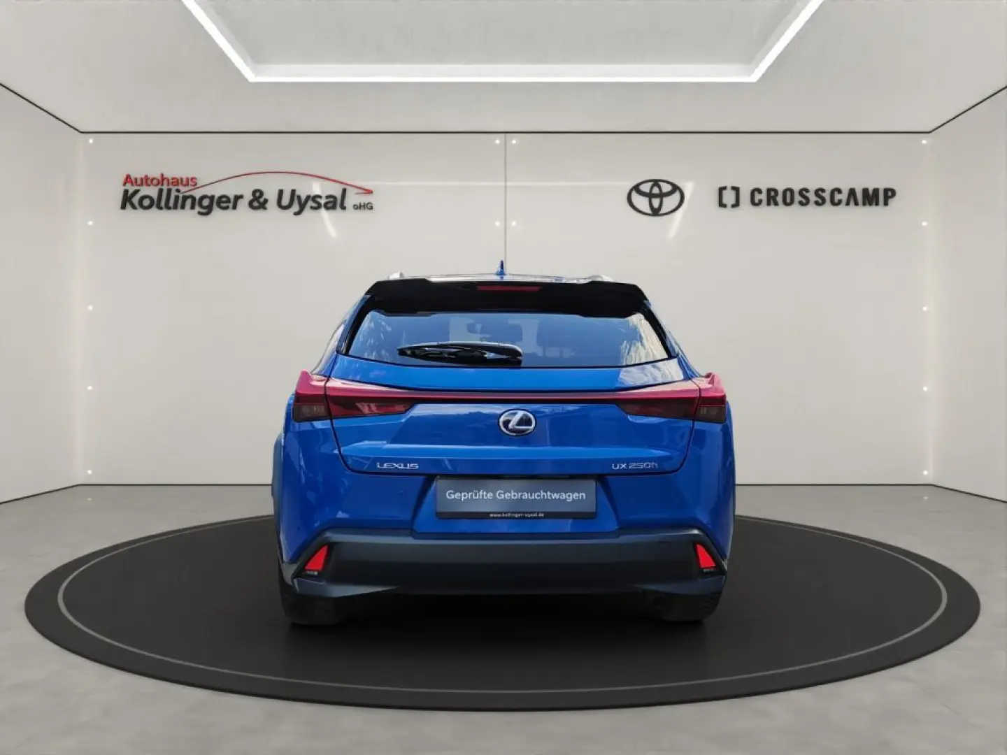 UX 250h Style Edition