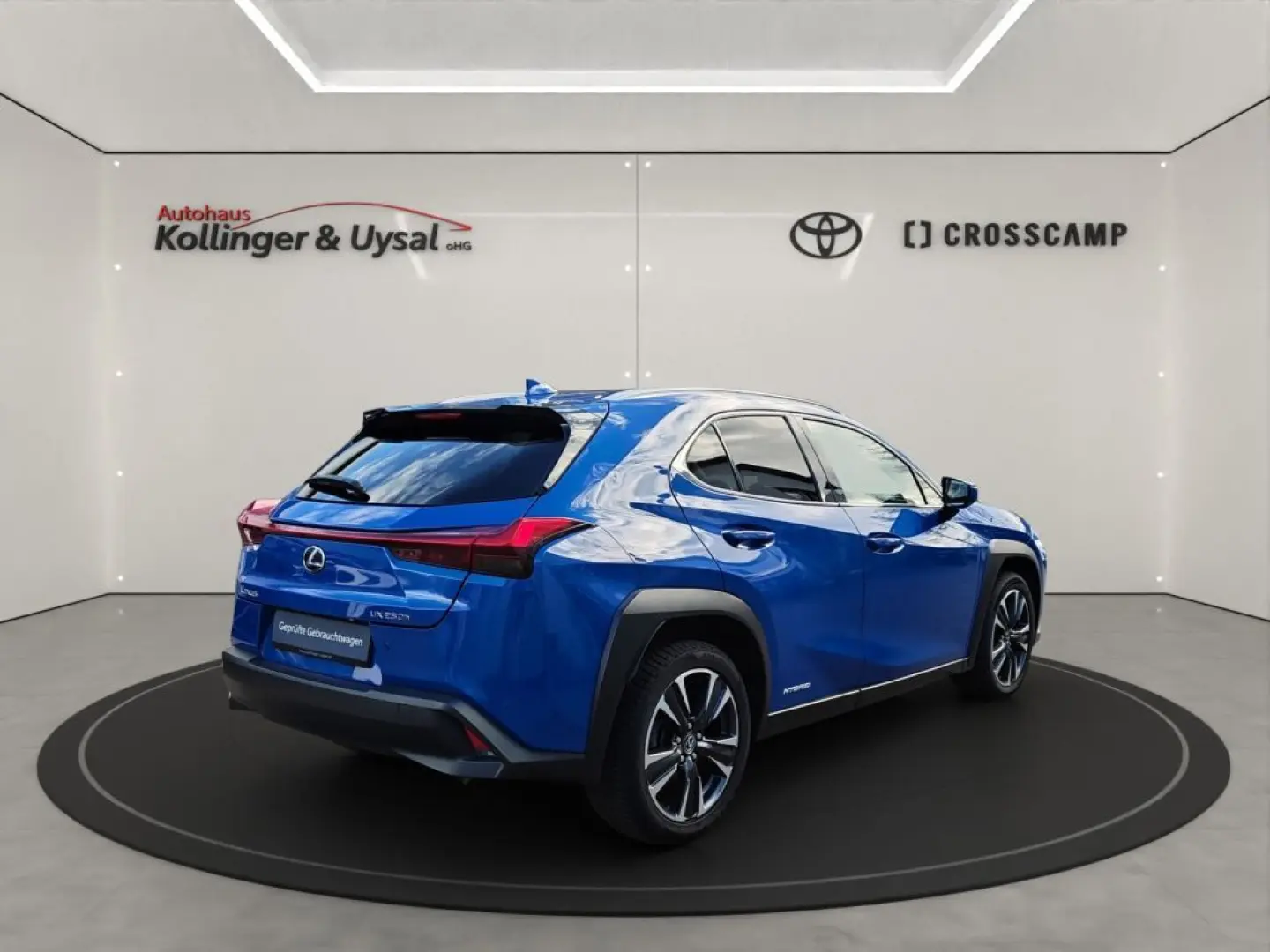 UX 250h Style Edition