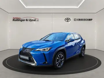 UX 250h Style Edition