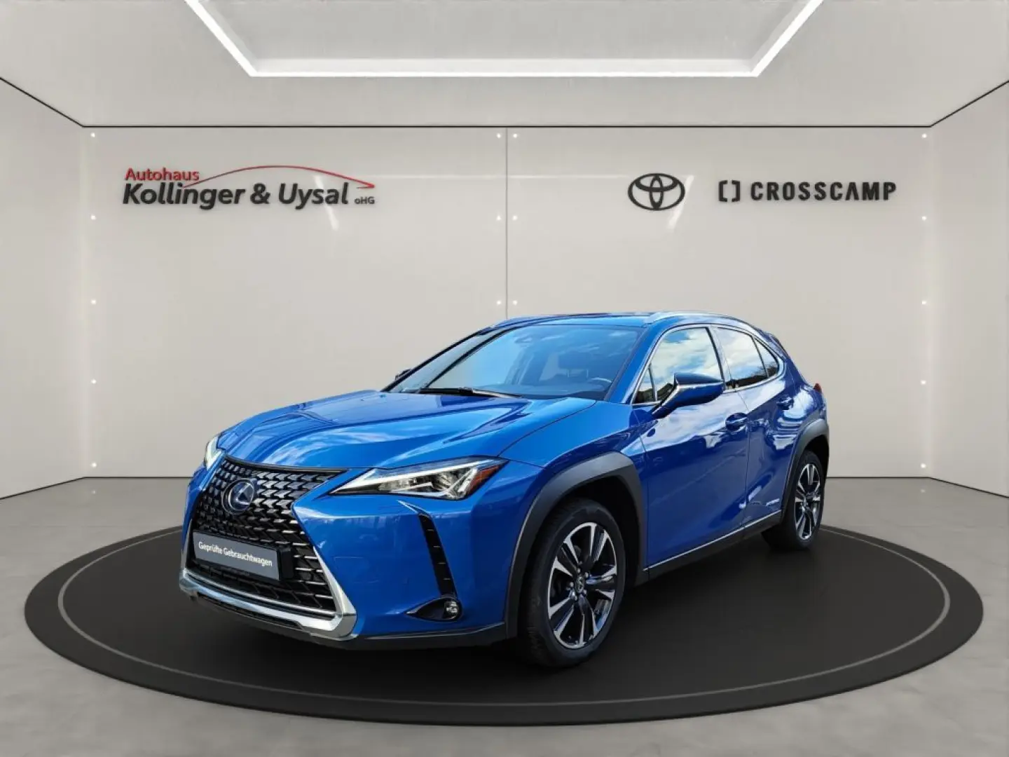 UX 250h Style Edition