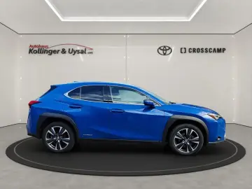 UX 250h Style Edition