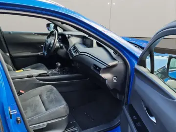 UX 250h Style Edition