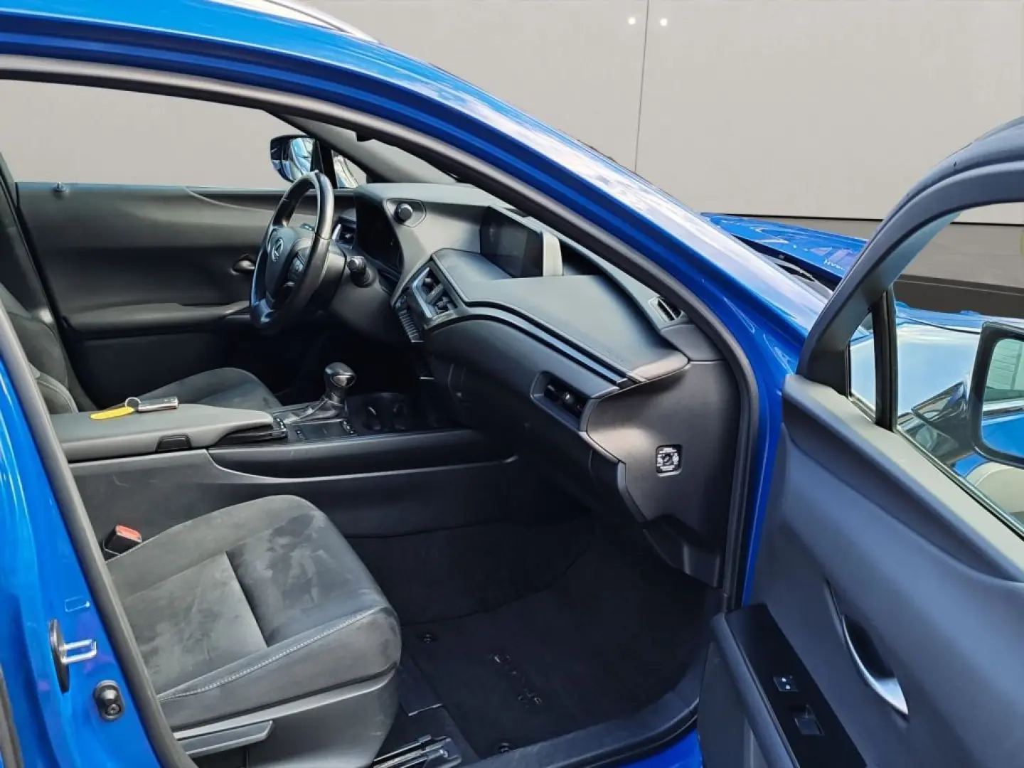 UX 250h Style Edition