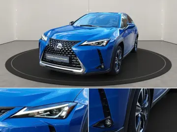 UX 250h Style Edition