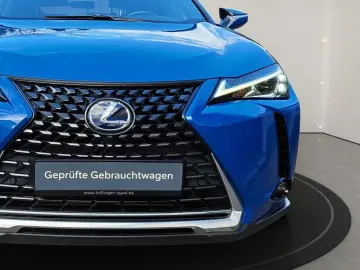 UX 250h Style Edition