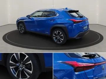 UX 250h Style Edition