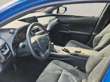 UX 250h Style Edition