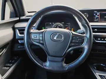 UX 250h Style Edition