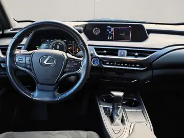 UX 250h Style Edition