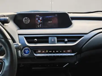 UX 250h Style Edition