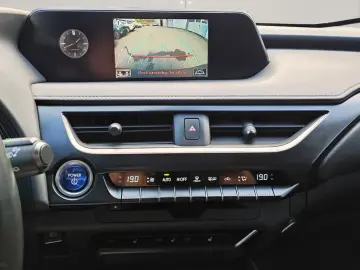 UX 250h Style Edition