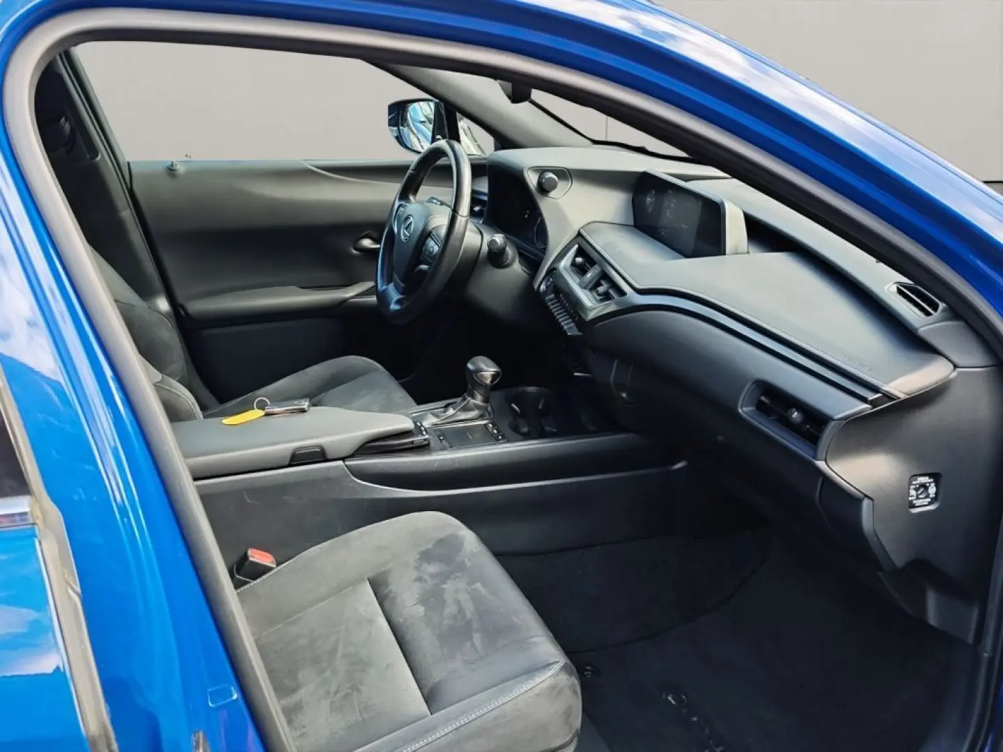 UX 250h Style Edition