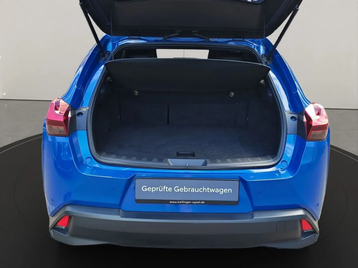 UX 250h Style Edition