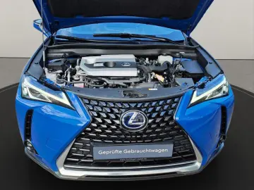 UX 250h Style Edition