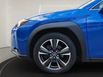 UX 250h Style Edition