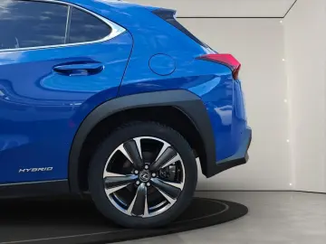 UX 250h Style Edition