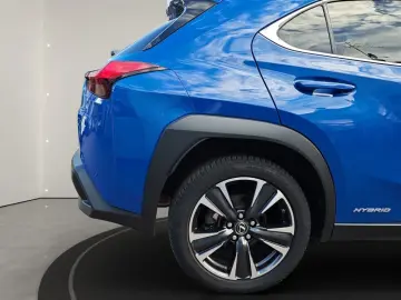 UX 250h Style Edition