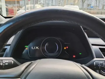 UX 250h Style Edition