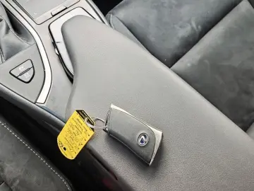 UX 250h Style Edition