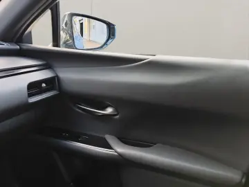 UX 250h Style Edition