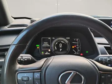 UX 250h Style Edition