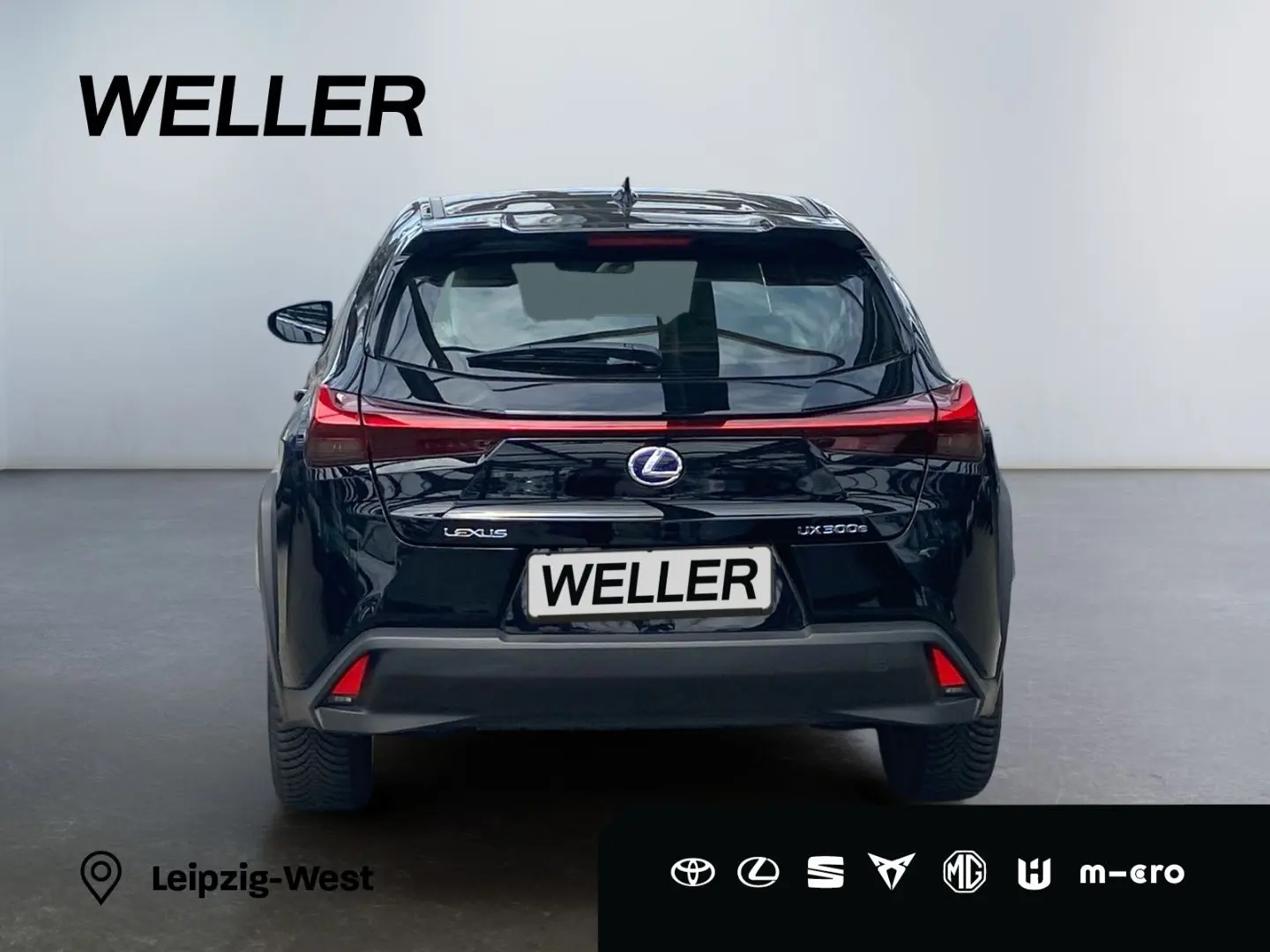 UX 300e  LED ACC el Sitze Fernlichtassis CarPlay