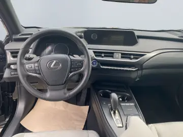 UX 300e  LED ACC el Sitze Fernlichtassis CarPlay