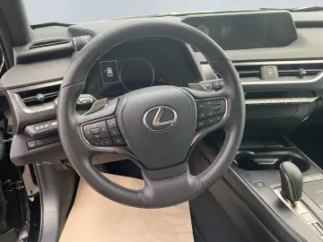 UX 300e  LED ACC el Sitze Fernlichtassis CarPlay