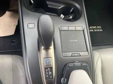 UX 300e  LED ACC el Sitze Fernlichtassis CarPlay