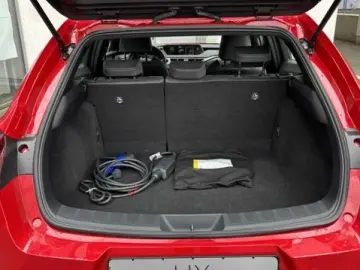 UX 300e BEV 54kW Komfort Plus  Allwetterreifen