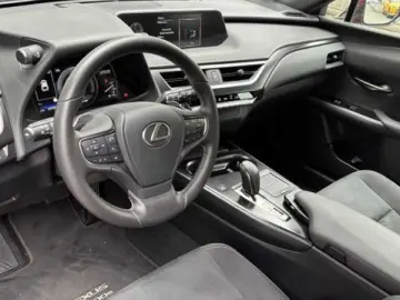 UX 300e BEV 54kW Komfort Plus  Allwetterreifen