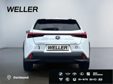 UX 250h Style Edition  Bi-LED ACC CAM SHZ CarPla