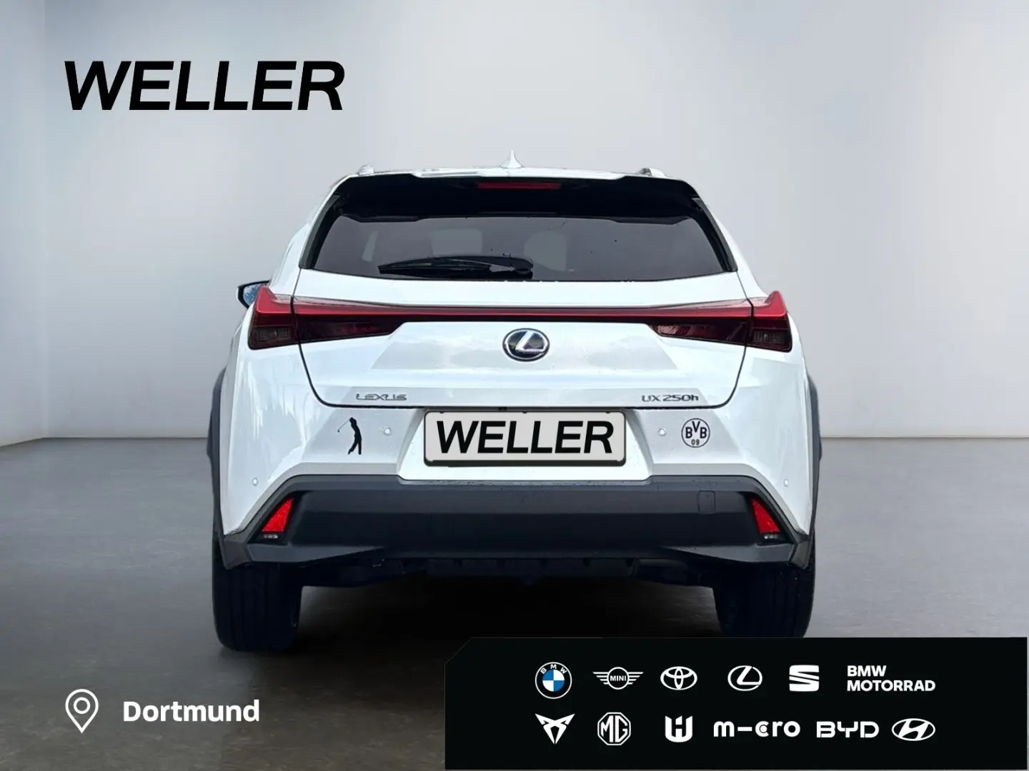 UX 250h Style Edition  Bi-LED ACC CAM SHZ CarPla