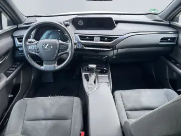 UX 250h Style Edition  Bi-LED ACC CAM SHZ CarPla