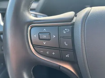 UX 250h Style Edition  Bi-LED ACC CAM SHZ CarPla