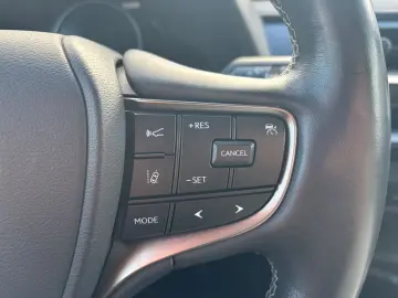 UX 250h Style Edition  Bi-LED ACC CAM SHZ CarPla