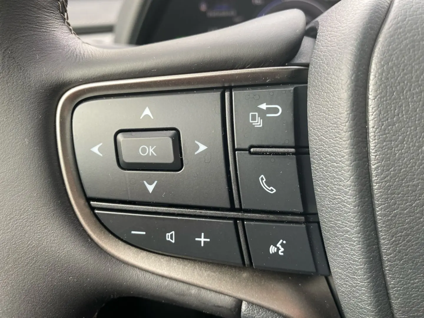 UX 250h Style Edition  Bi-LED ACC CAM SHZ CarPla