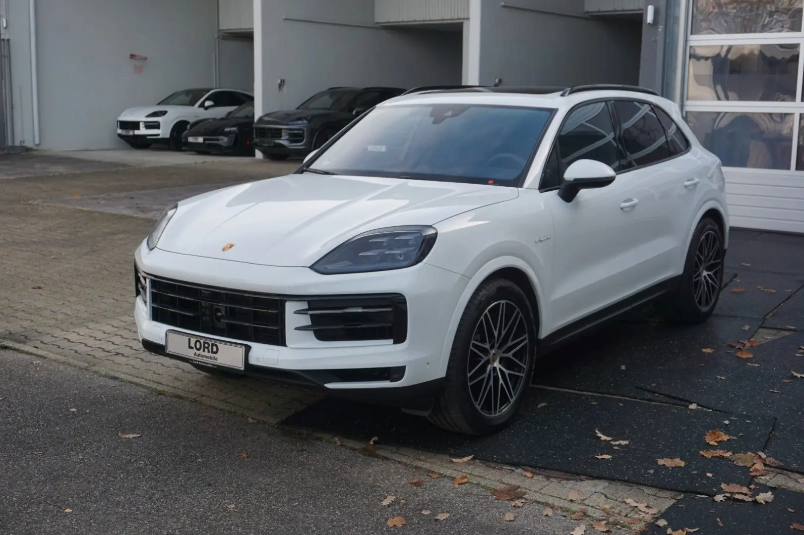 Cayenne E-Hybrid 18 Wege Sportsitze Pano AHK