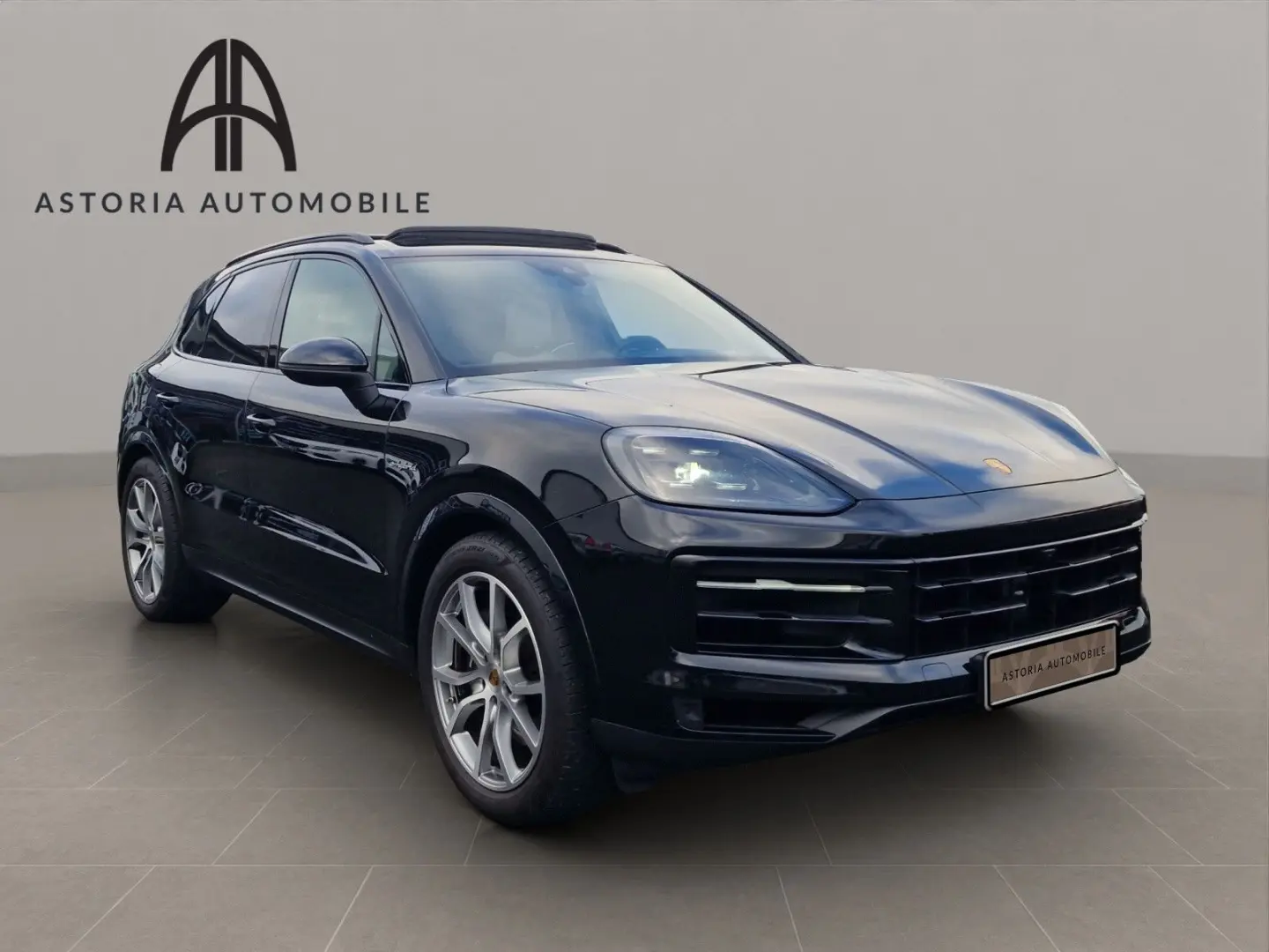 Cayenne E-Hybrid BiColor HALenkung PDCC Pano 21z