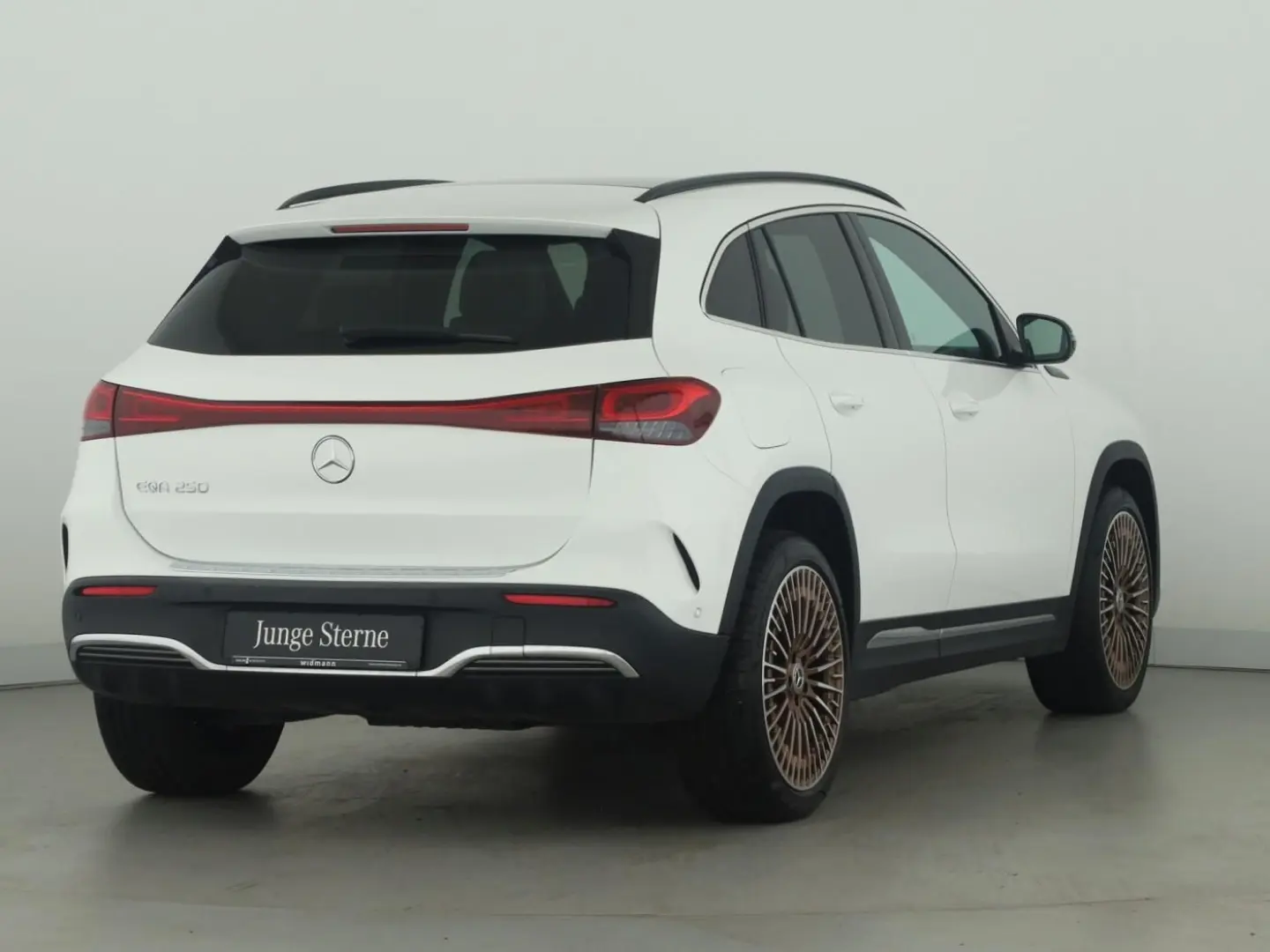 EQA 250  AMG Edition 1 Panorama PTS Kamera Navi