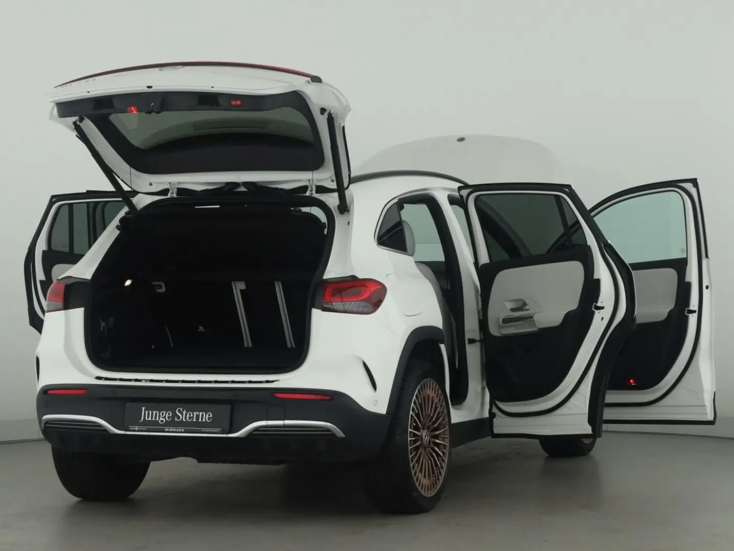 EQA 250  AMG Edition 1 Panorama PTS Kamera Navi