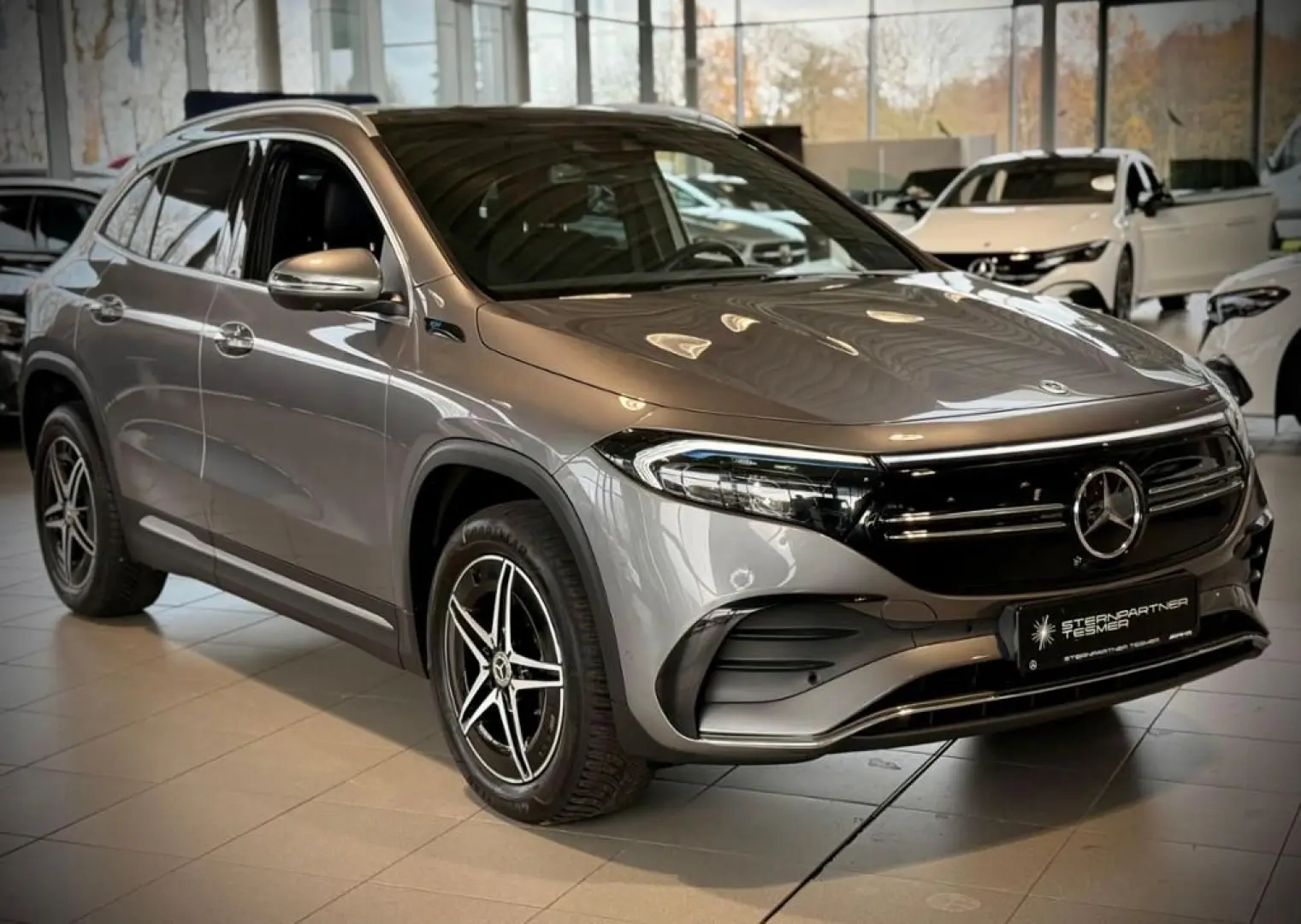 EQA 250 AMG MBUX Memory Ambiente CarPlay KAMERA