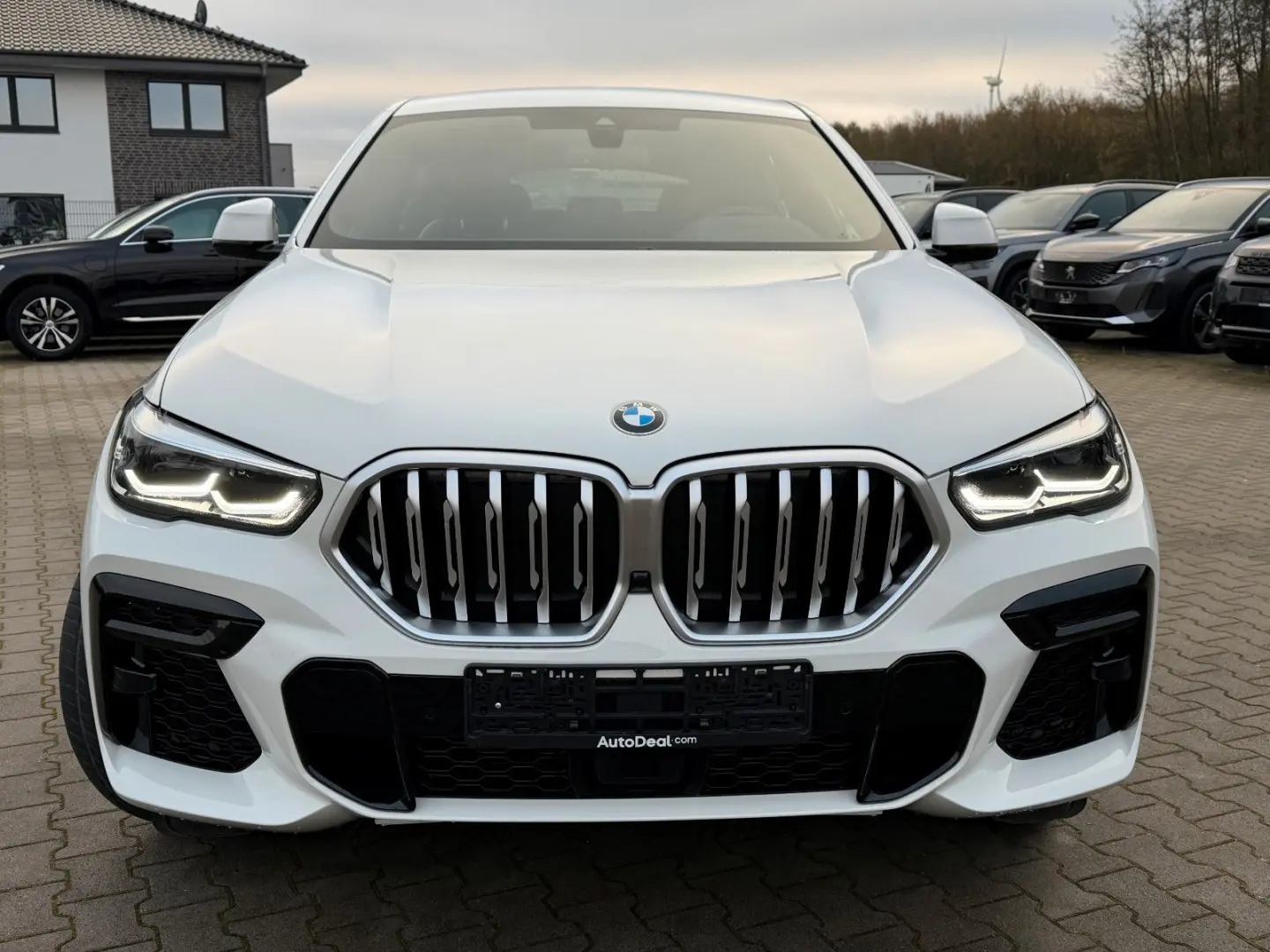 X6 30d xDrive M Sport Paket ACC
