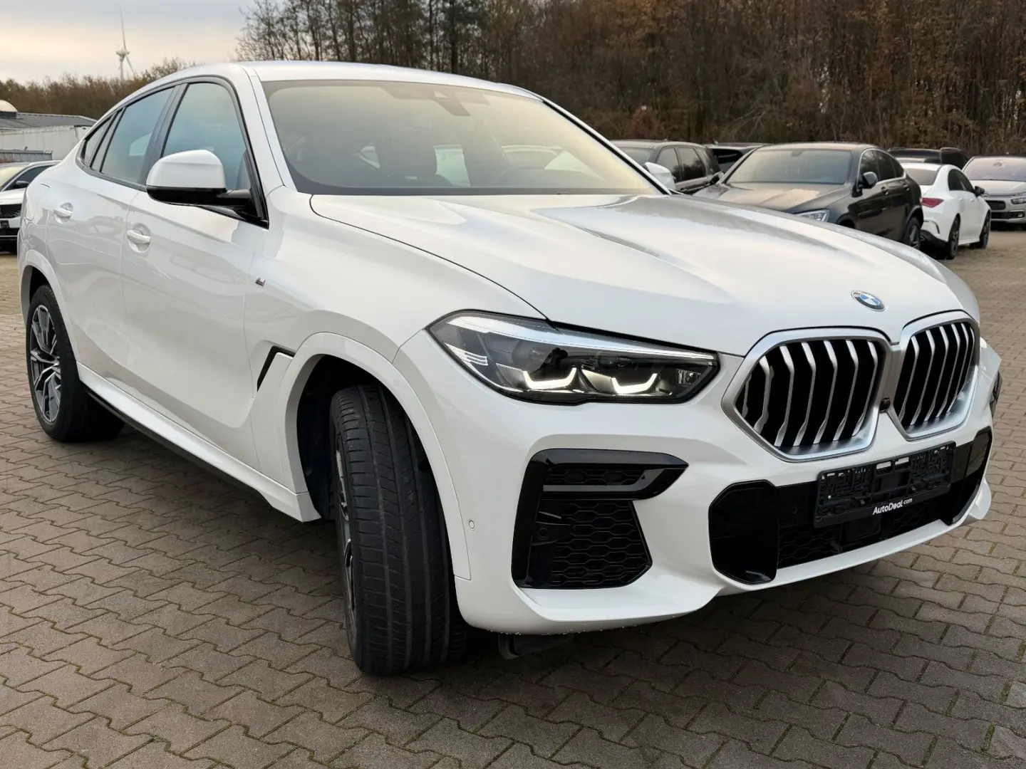 X6 30d xDrive M Sport Paket ACC