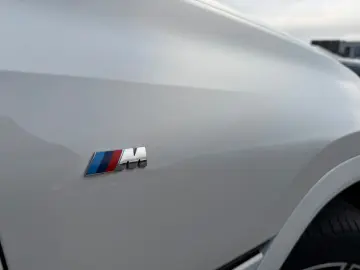 X6 30d xDrive M Sport Paket ACC